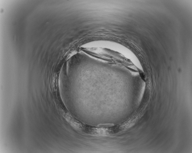 X0000087400233200705042043