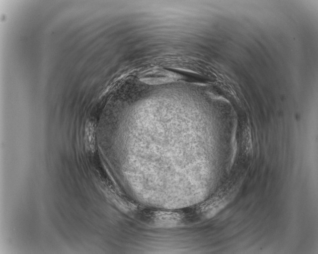 X0000087400234200705042043