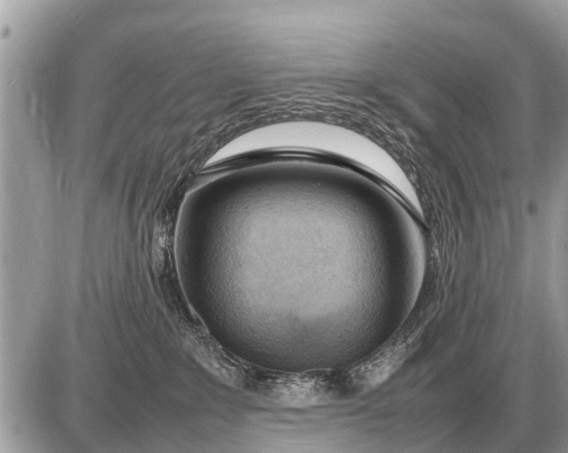 X0000087400235200705042043