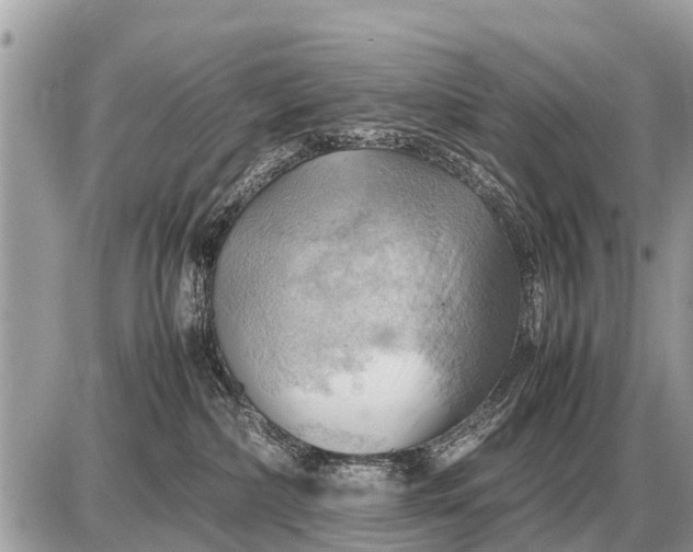 X0000087400236200705042043