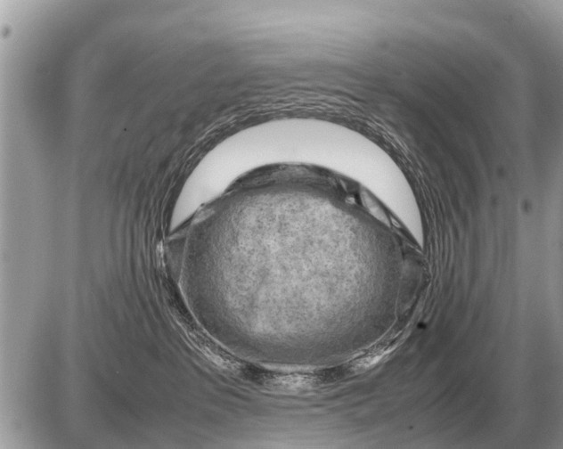 X0000087400237200705042043