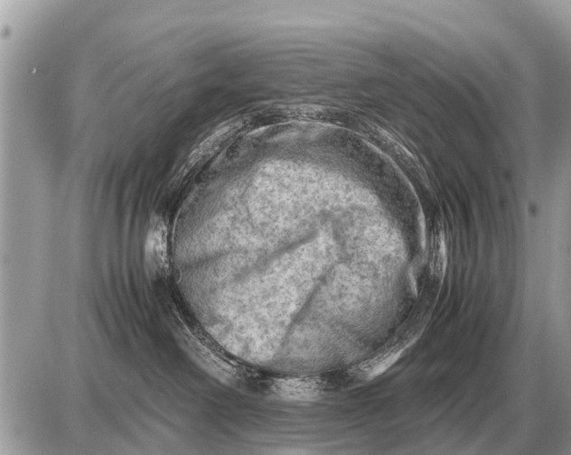 X0000087400238200705042043