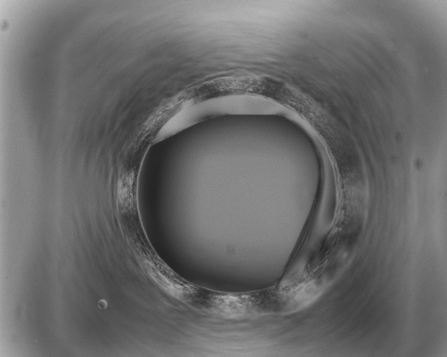 X0000087400239200705042043