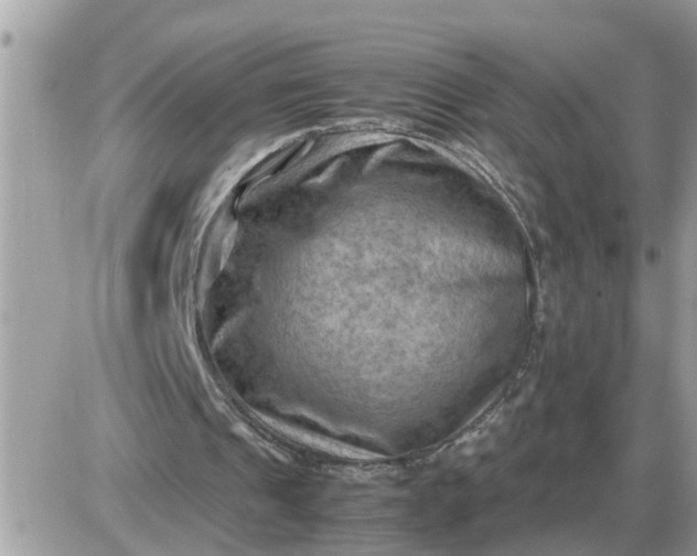 X0000087400241200705042042