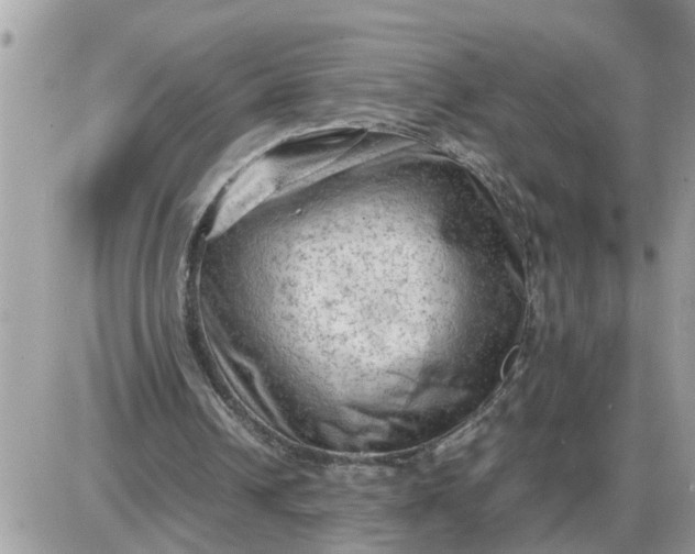 X0000087400242200705042042