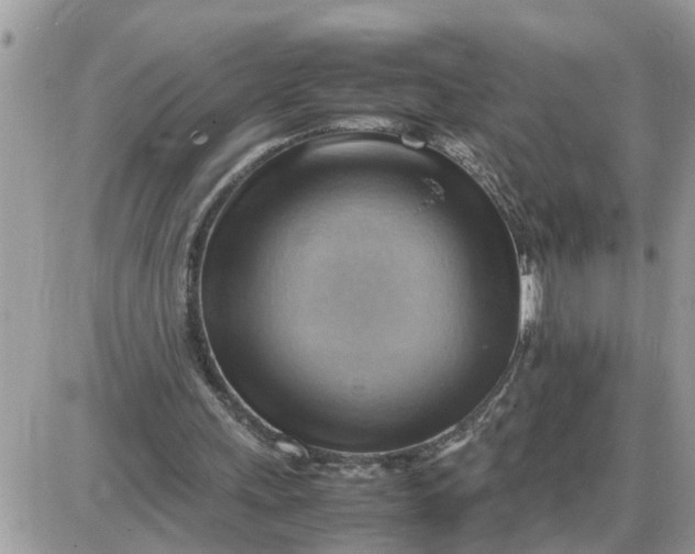 X0000087400243200705042042