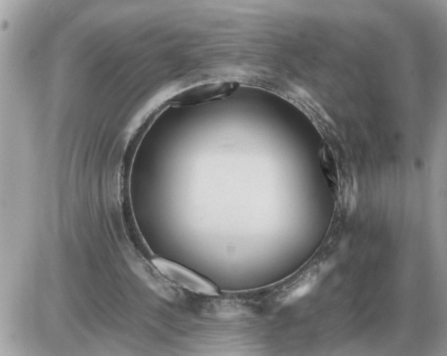 X0000087400244200705042042