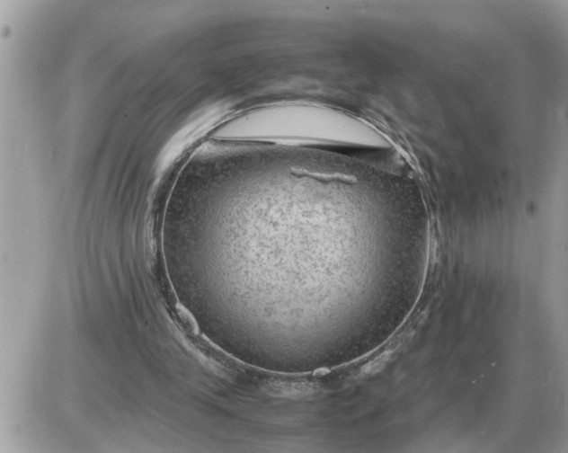 X0000087400245200705042042