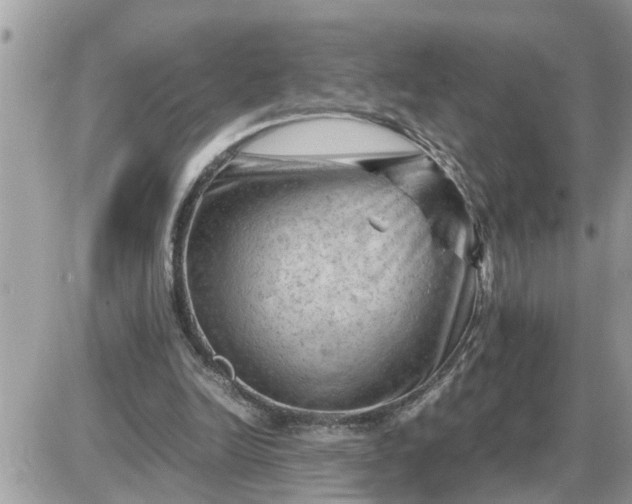 X0000087400246200705042042