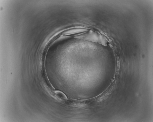 X0000087400247200705042042