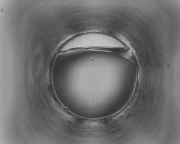 X0000087400249200705042042