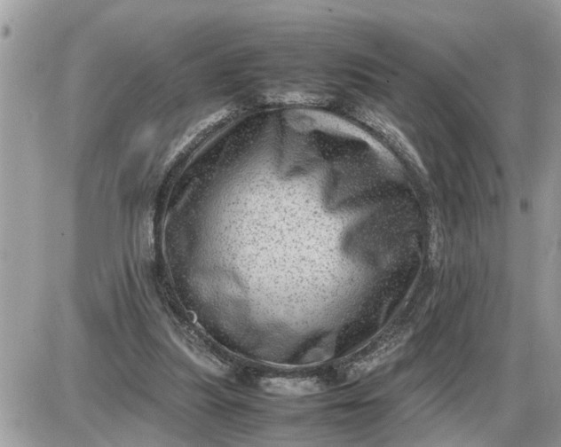 X0000087400251200705042042