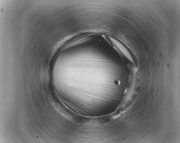 X0000087400252200705042042