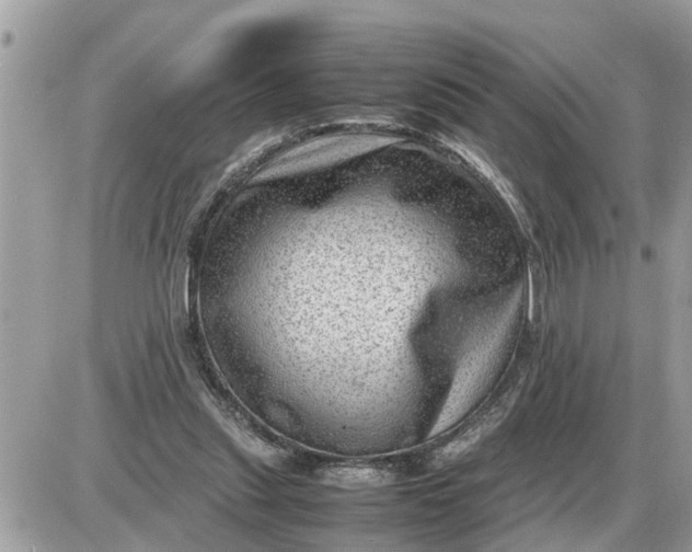 X0000087400253200705042042