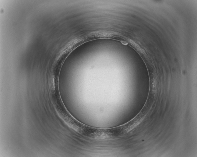 X0000087400254200705042042