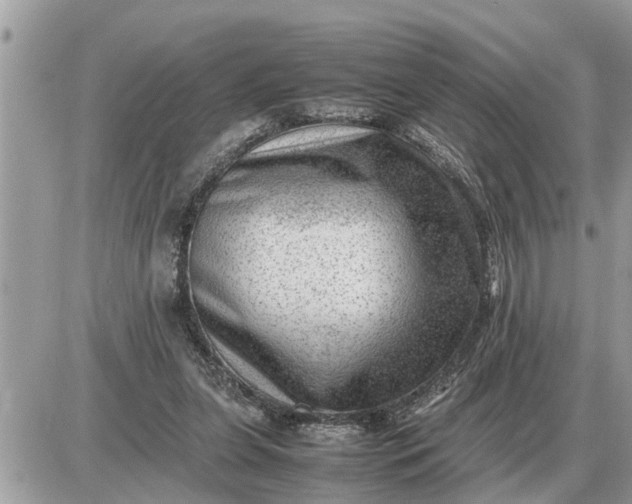 X0000087400255200705042043