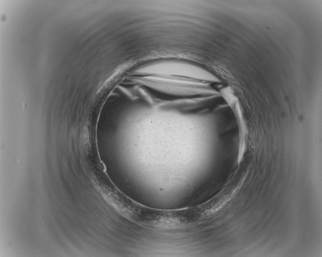 X0000087400256200705042043