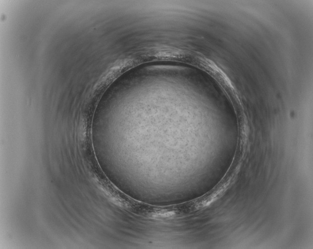 X0000087400257200705042043