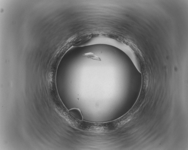 X0000087400260200705042043