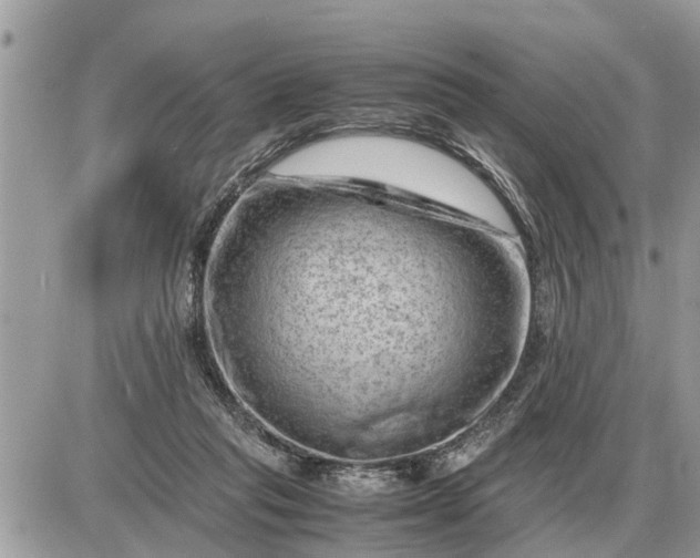 X0000087400261200705042043