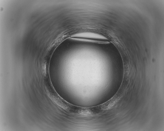 X0000087400262200705042043