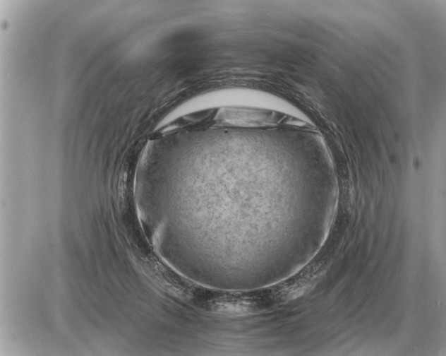 X0000087400263200705042043