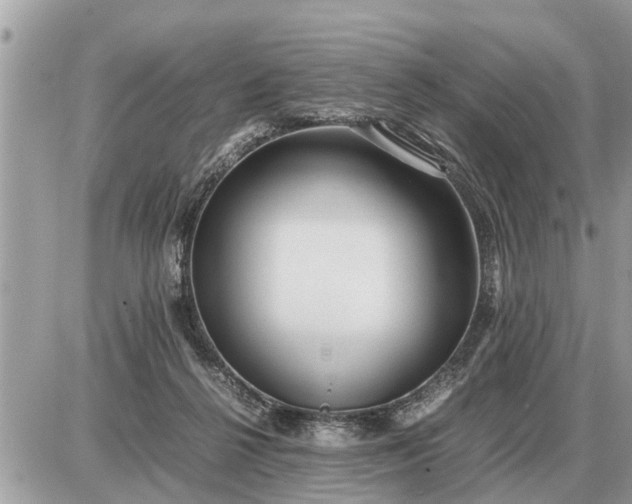 X0000087400264200705042043