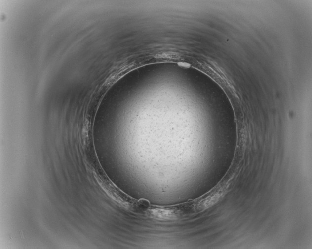 X0000087400265200705042043