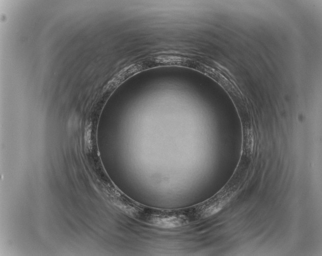 X0000087400267200705042043