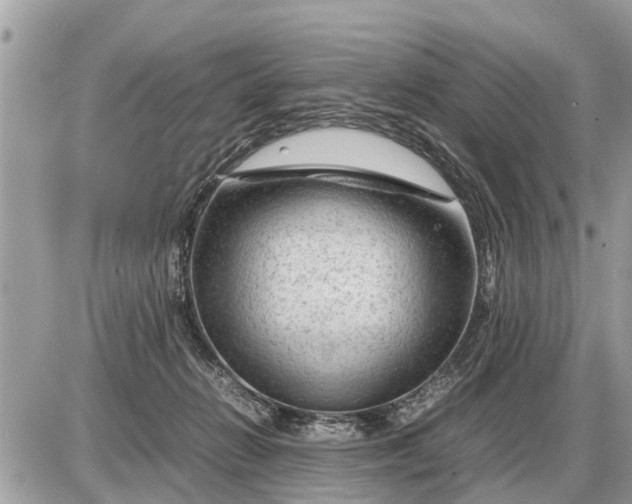 X0000087400270200705042043