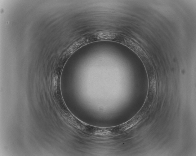 X0000087400271200705042043