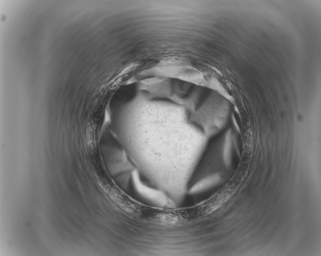 X0000087400272200705042043