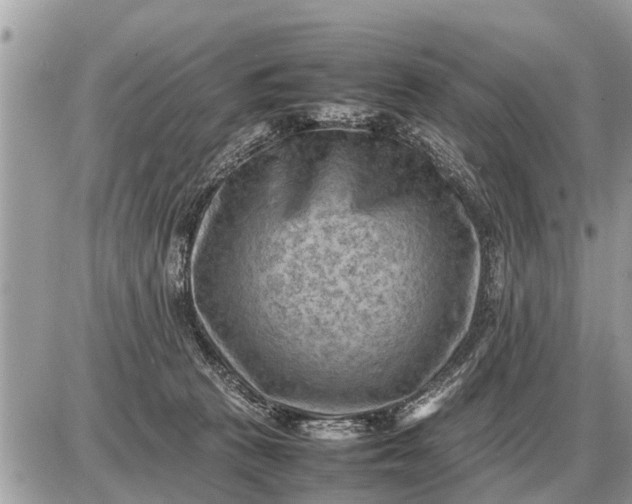 X0000087400273200705042043