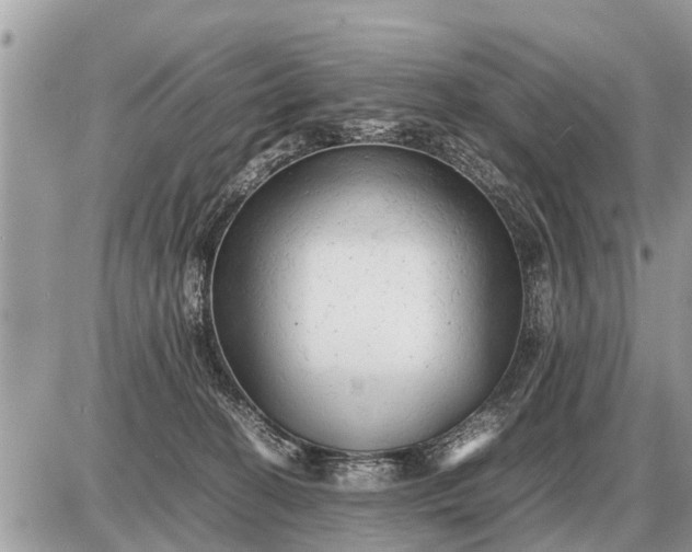 X0000087400274200705042043