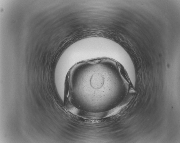 X0000087400276200705042043