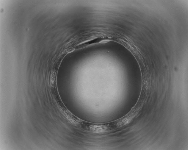 X0000087400277200705042043