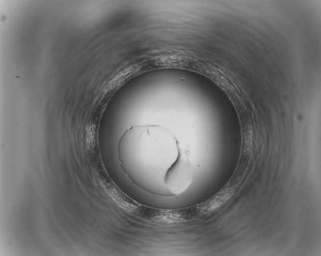 X0000087400278200705042043