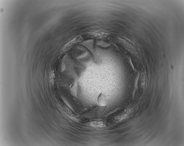 X0000087400279200705042043