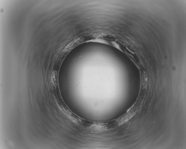 X0000087400280200705042043