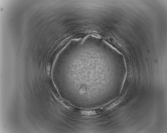 X0000087400281200705042043