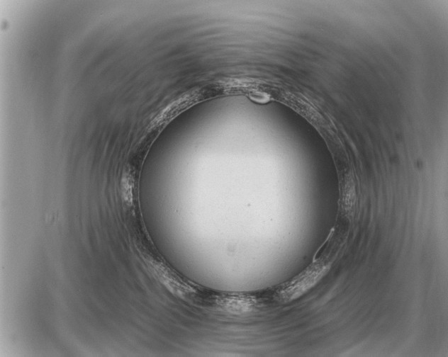 X0000087400282200705042043