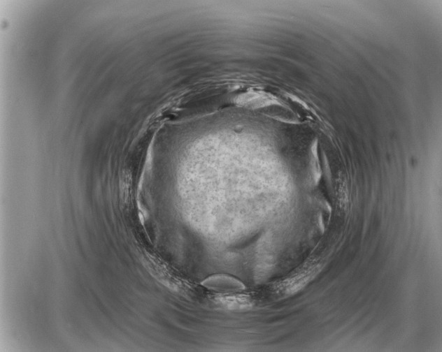 X0000087400283200705042043