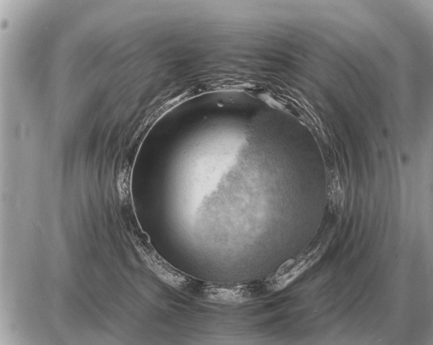 X0000087400285200705042043