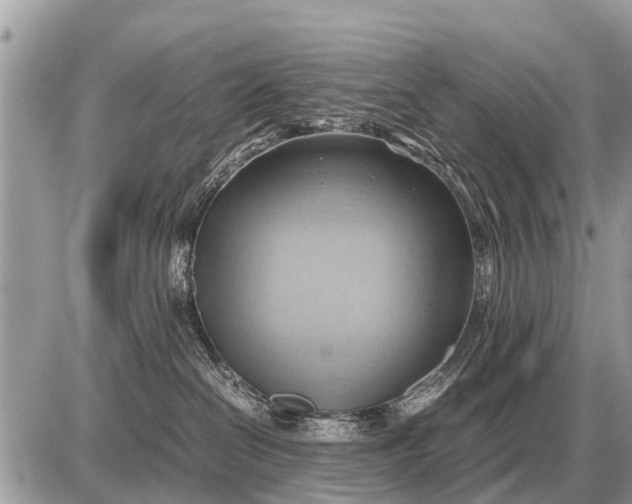 X0000087400286200705042043