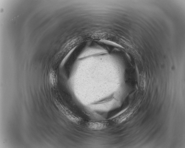 X0000087400287200705042043