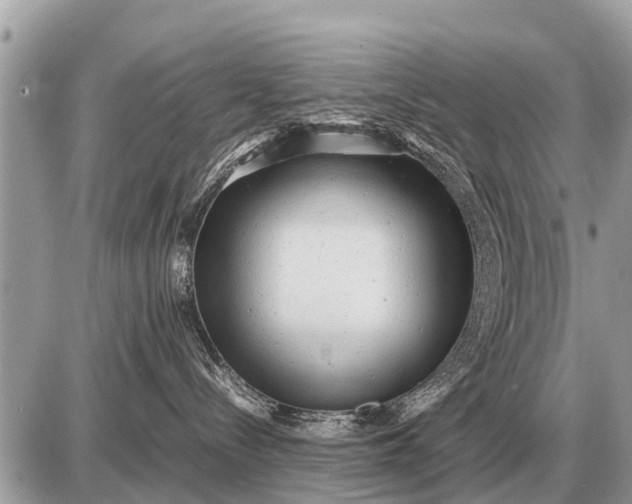 X0000087400288200705042043