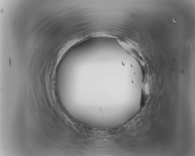 X0000087400289200705042042