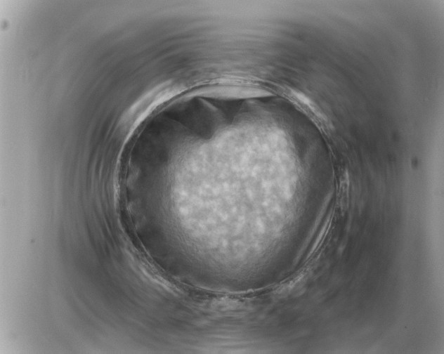 X0000087400290200705042042