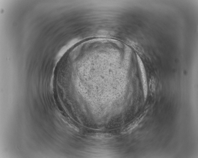 X0000087400292200705042042