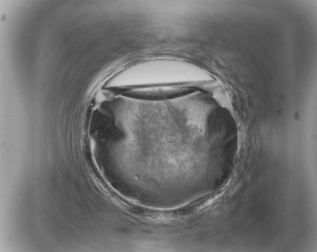 X0000087400293200705042042